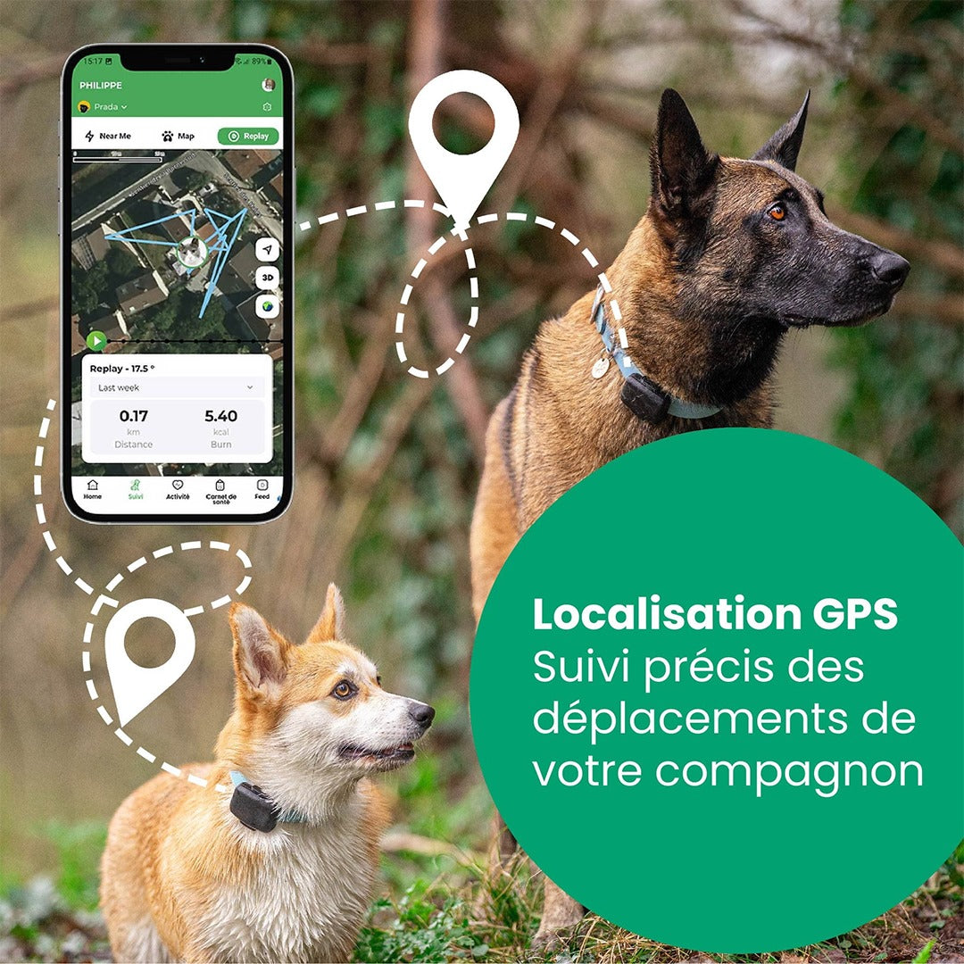 Laeka Perle - GPS 4G connecté pour chien & chat | Suivi & Sécurité  | Abonnement 4G inclus a vie