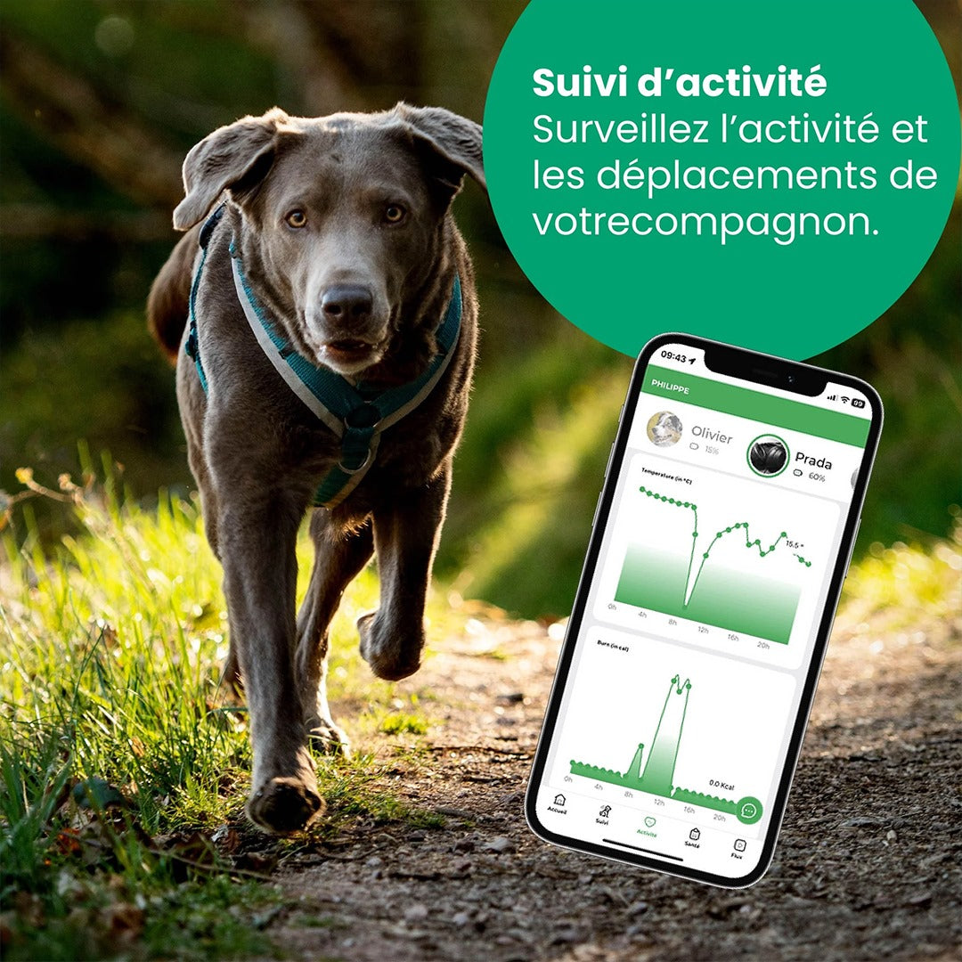 Laeka Perle - GPS 4G connecté pour chien & chat | Suivi & Sécurité  | Abonnement 4G inclus a vie
